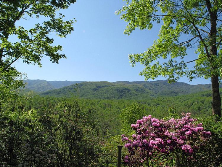Villa Seneca Gatlinburg Exterior foto